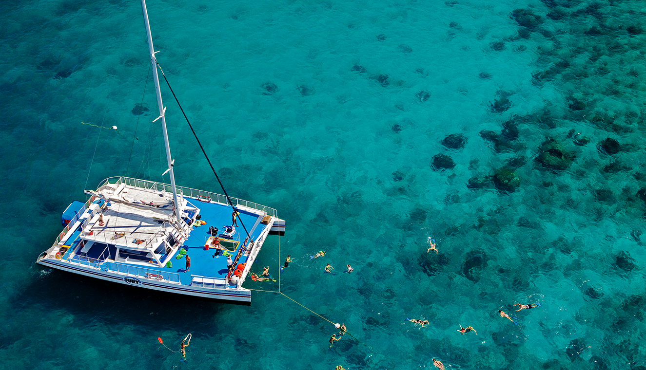 Reef Snorkel