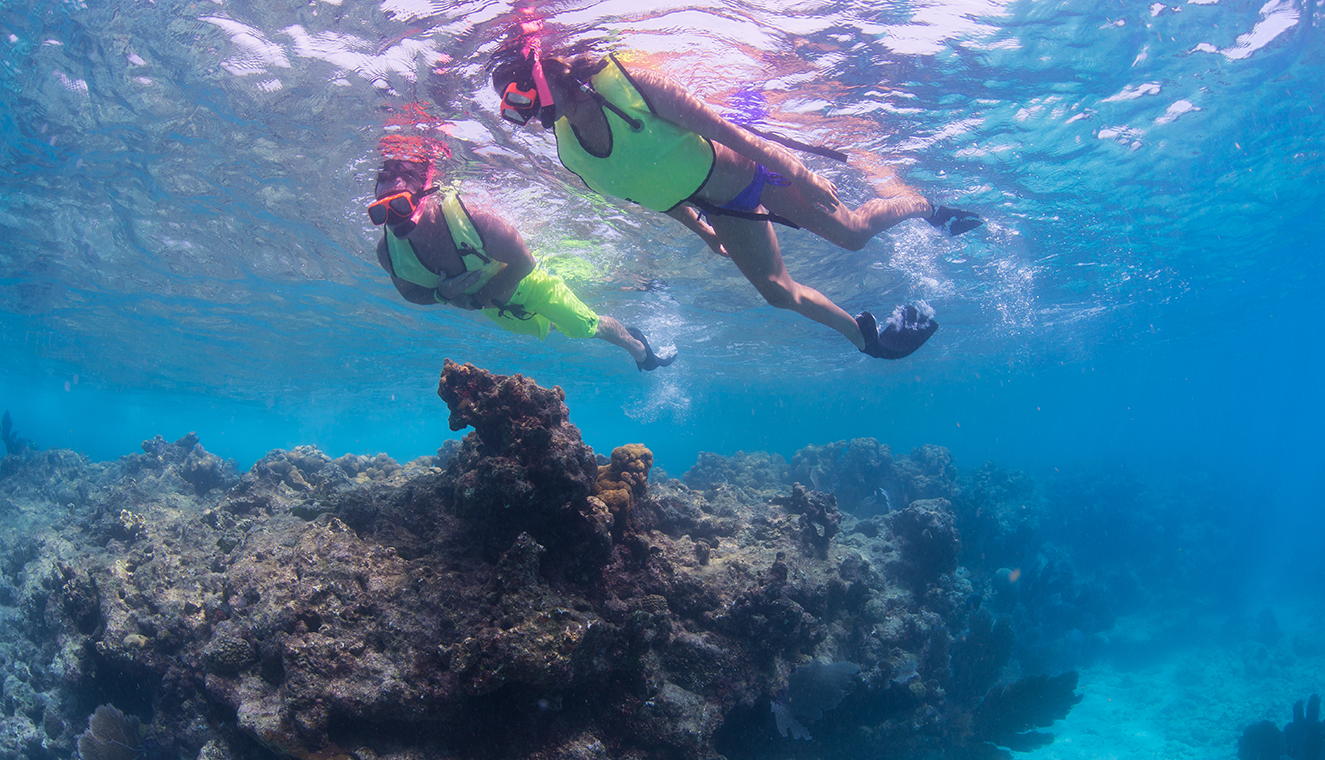 Reef Snorkel